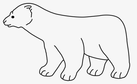 Polar Bear Line Art Clip Arts - Polar Bear Transparent Background Clipart, HD Png Download, Free Download