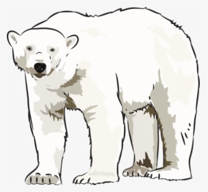 Transparent Polar Bear Clip Art - Polar Bear Art Clip, HD Png Download, Free Download