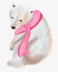 Polar Bear Cartoon Transparent - Polar Bear, HD Png Download, Free Download