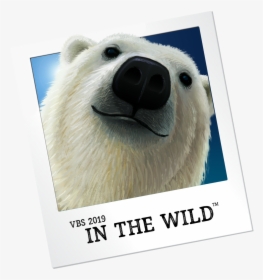 Vbs In The Wild 2019, HD Png Download, Free Download