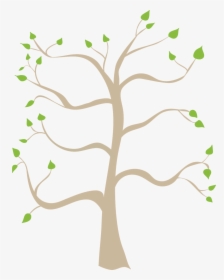 Family Tree Related Keywords Png Images Clipart - Branches Of The Military Tree, Transparent Png, Free Download