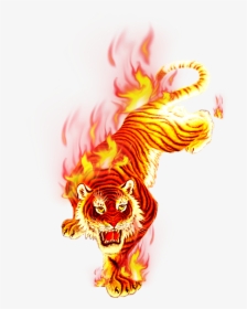 Transparent Png Flame Images - Fire Tiger Png, Png Download, Free Download
