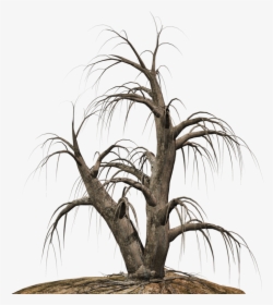 Dead Tree Clipart Desert Png - Portable Network Graphics, Transparent Png, Free Download