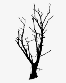 Tree Drawing Branch Clip Art, HD Png Download, Free Download