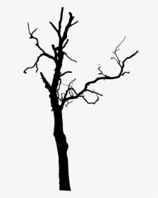 Dead Tree Silhouette Png, Transparent Png, Free Download