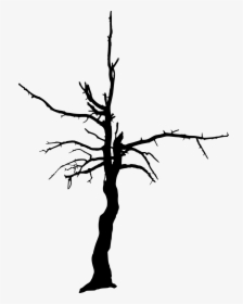 Tree Woody Plant Clip Art - Transparent Background Burnt Trees Silhouette, HD Png Download, Free Download