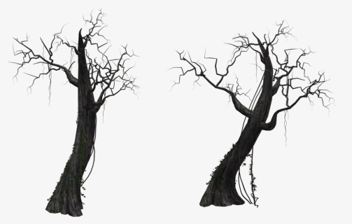 Dead Tree 01 By Free Stock By - Black Dead Tree Png, Transparent Png, Free Download