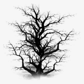 Dead Tree Clipart Plain Black - Old Dead Tree Png, Transparent Png, Free Download