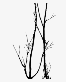 Dead Trees Vector Tree Silhouette Photoshop Pinterest - Dead Tree Vector, HD Png Download, Free Download
