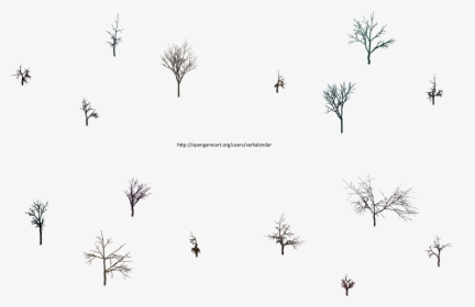 Hjm Dead Trees Rootless 3 Alpha - Insect, HD Png Download, Free Download