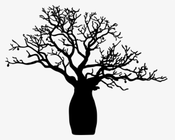 Baobab Tree Png Download - Boab Tree Clip Art, Transparent Png, Free Download