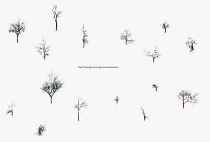 Hjm Dead Trees Rootless 1 Alpha - Line Art, HD Png Download, Free Download