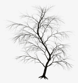 Black Tree Png Drawing, Transparent Png, Free Download