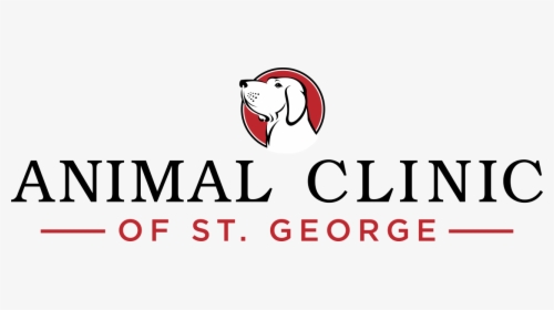 Animal Clinic Of St - Cartoon, HD Png Download, Free Download