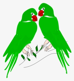 Transparent Parakeet Clipart - Portable Network Graphics, HD Png Download, Free Download