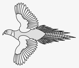 Transparent Doves Flying Png - Pigeons And Doves, Png Download, Free Download