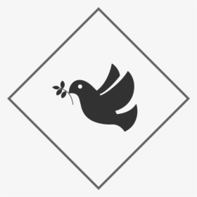 Contemporary Worship Service - Pigeons And Doves, HD Png Download, Free Download