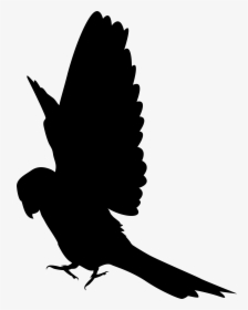 Parrot Bird Silhouette Clip Art, HD Png Download, Free Download