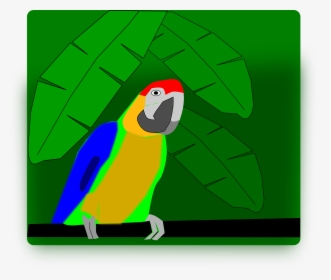 Parakeet, HD Png Download, Free Download