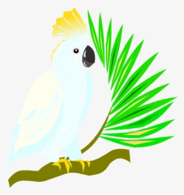 Transparent Parrot Png - Cockatoo Clipart Transparent Background, Png Download, Free Download