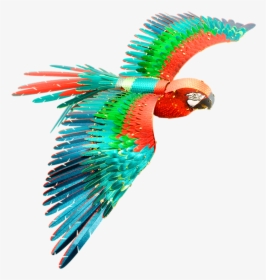 Picture Of Iconx Parrot - Metal Earth Peacock, HD Png Download, Free Download