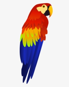 Parrot Png Free Download - Parrot Head Clip Art, Transparent Png, Free Download