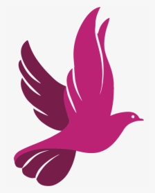 More Pankh , Png Download - Dove Icon Png, Transparent Png, Free Download