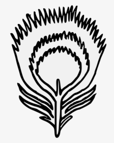 Peacock Feather Logo Png, Transparent Png, Free Download