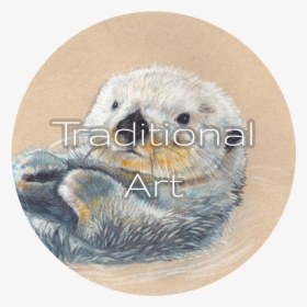 Dan Bingham Art Traditional - Sea Otter, HD Png Download, Free Download