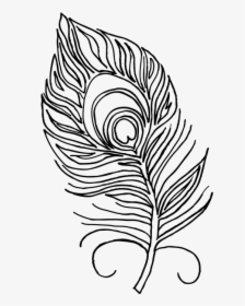 Peacock Feather For Colouring, HD Png Download, Free Download