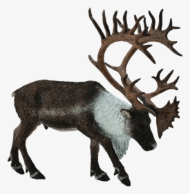 Reindeer Toy Figure - Caribou Toy, HD Png Download, Free Download