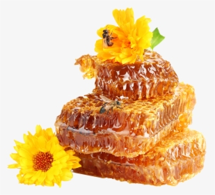 Honey Png Photo Background - Honey, Transparent Png, Free Download