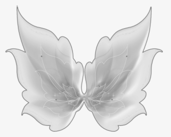 Fairy Wings Png Photo - Illustration, Transparent Png, Free Download