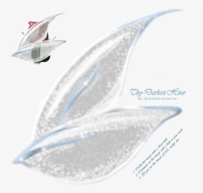 Fairy Wings Side View Png - Free Png Fairy Wings, Transparent Png, Free Download