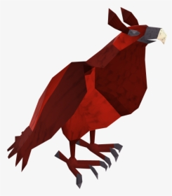 Runescape Birds, HD Png Download, Free Download
