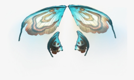 #fairy #wings #fantasy #fairies #wing - Papilio Machaon, HD Png Download, Free Download