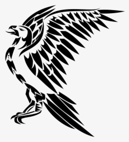 Black And White Hawk Drawing, HD Png Download, Free Download