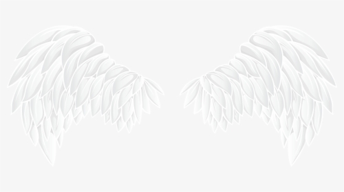 Wings Clipart Png - White Wings Png, Transparent Png, Free Download