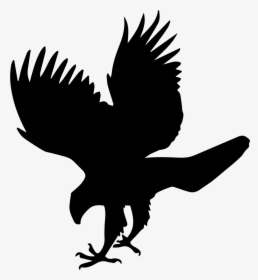 Hawk Bird Animal Shape - Hawk Icon, HD Png Download, Free Download