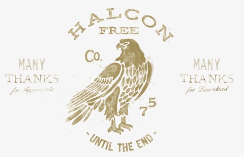 Transparent Vintage Badge Png - Hawk, Png Download, Free Download