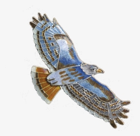 Transparent Red Tailed Hawk Png - Northern Harrier, Png Download, Free Download