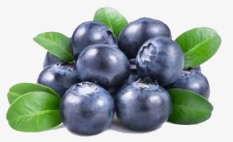 Blueberry Png Background Images - Blue Transparent Background Blueberry Png, Png Download, Free Download