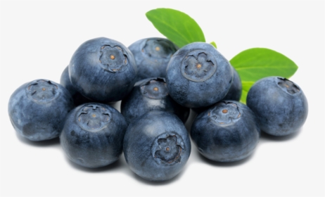 Blueberries Png Hd Image - Blueberry On Transparent, Png Download, Free Download