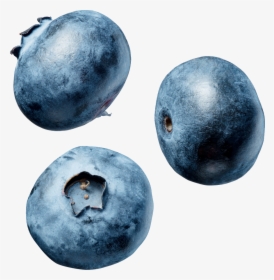 Blue Berry Png, Transparent Png, Free Download