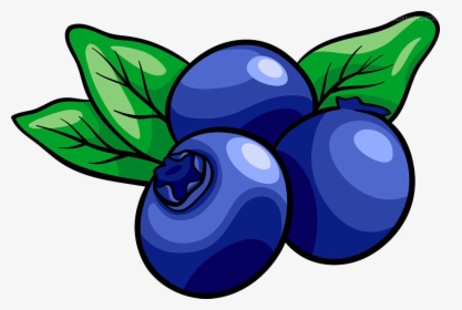 Transparent Blueberry Muffin Clipart - Blueberry Clipart Png, Png Download, Free Download