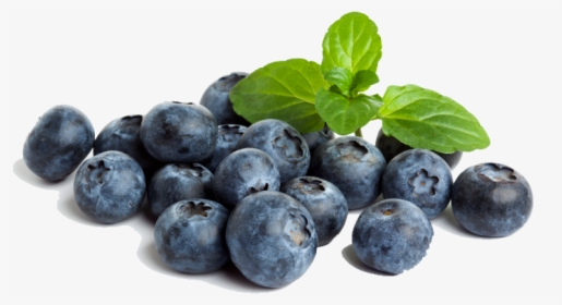 Blueberry Png File1 - Healthy Blueberries, Transparent Png, Free Download