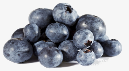 Transparent Blueberry Png - Blueberries, Png Download, Free Download