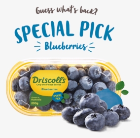 Image Special Pick Call Out V2 Aug - Driscoll's Blueberries, HD Png Download, Free Download