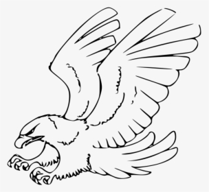 Eagle Black And White Clip Art, HD Png Download, Free Download