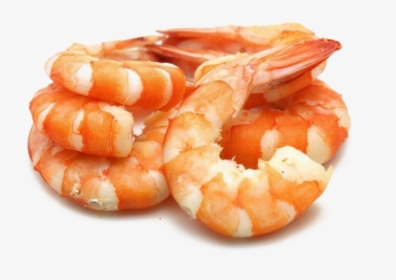 Shrimp Download Free Png - Cooked Tail On Shrimp, Transparent Png, Free Download